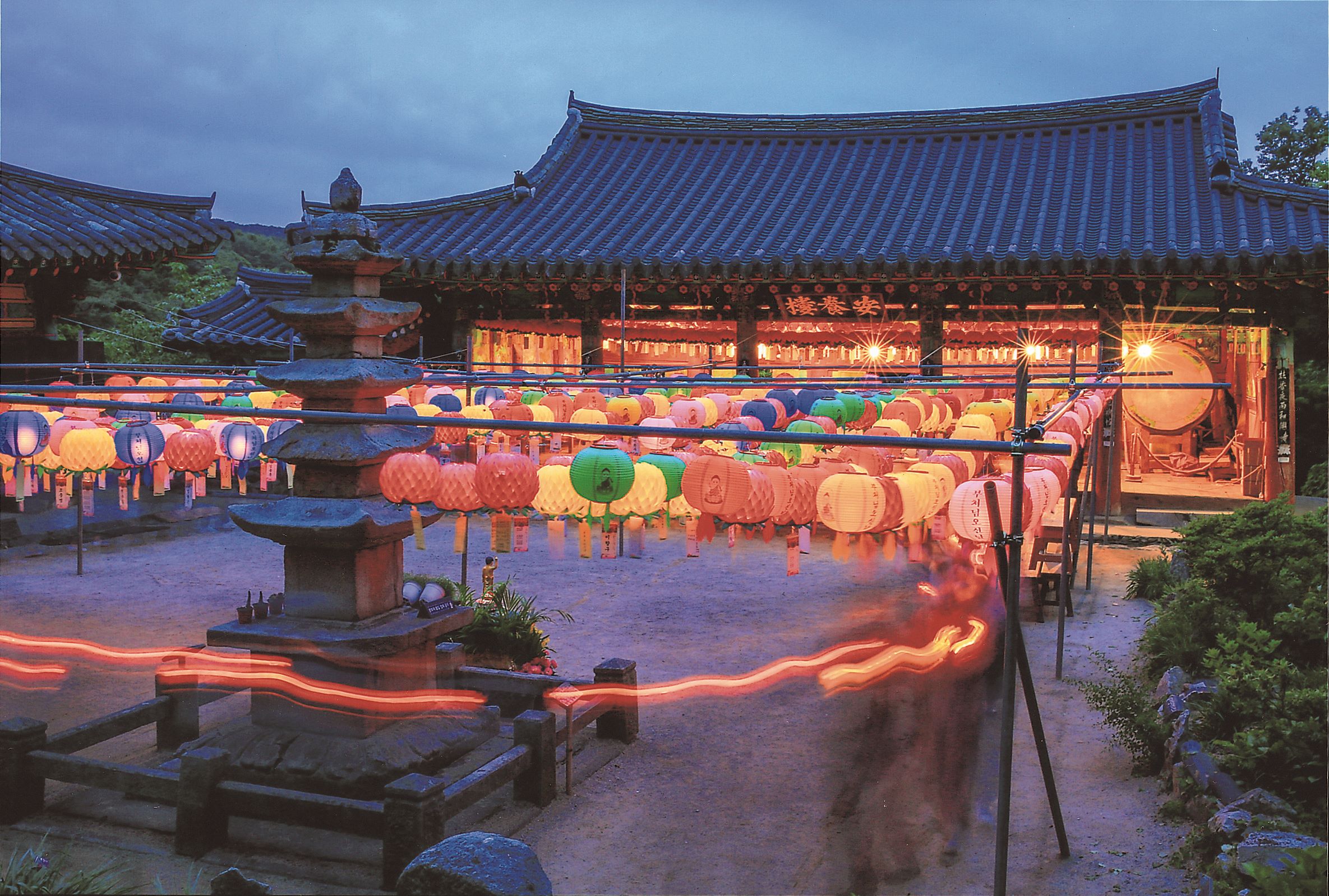 [4월 봄꽃 여행]서산 개심사 겹벚꽃&middot;청벚꽃 여행기❘벚꽃 개화 상황, 아직은 시작, 그러나 곧 절정