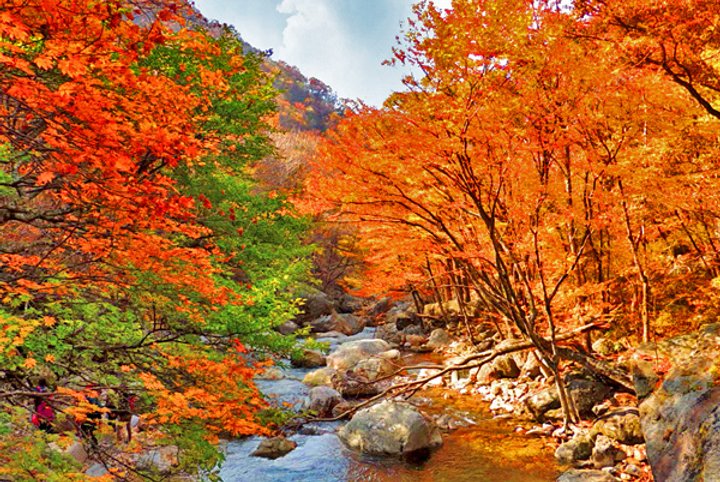 추석연휴 국내여행 지리산 피아골 단풍 트레킹과 가을 풍경