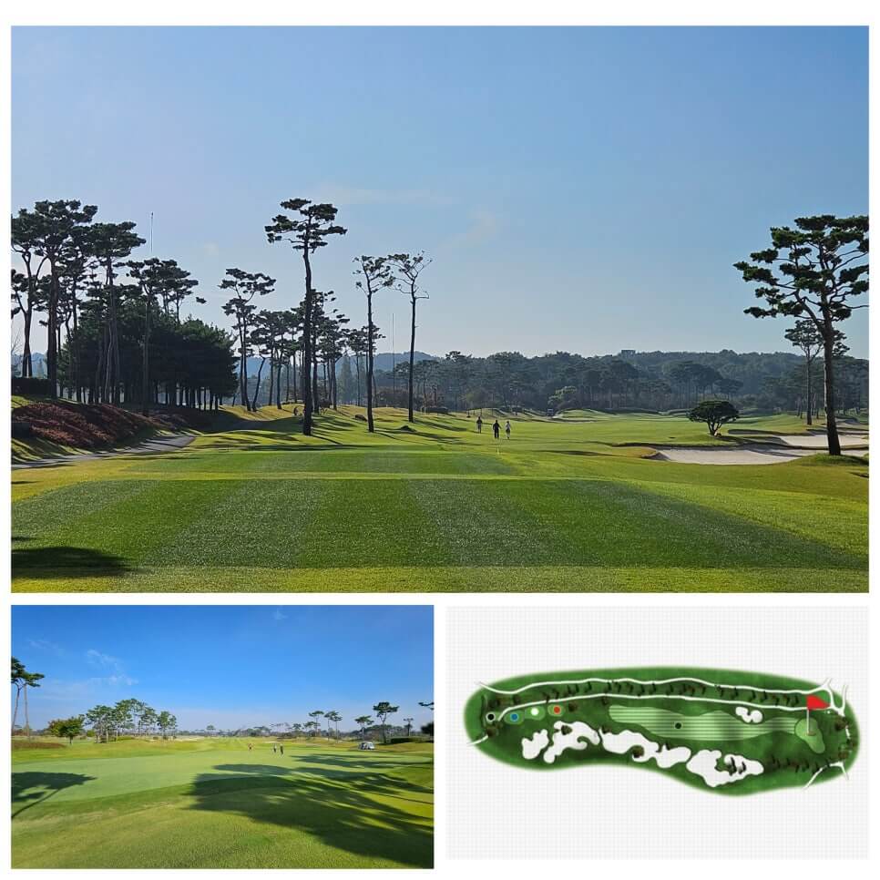 골프장 경험담 당진 파인스톤cc 대형 멋진 정원에서 환상의 골프 운동
