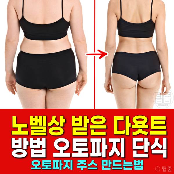 오토파지 단식 다이어트 오토파지주스 만드는법