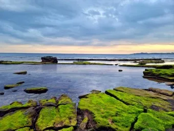 성산포항 여객터미널 우도 배시간표 배편 예약 요금_10