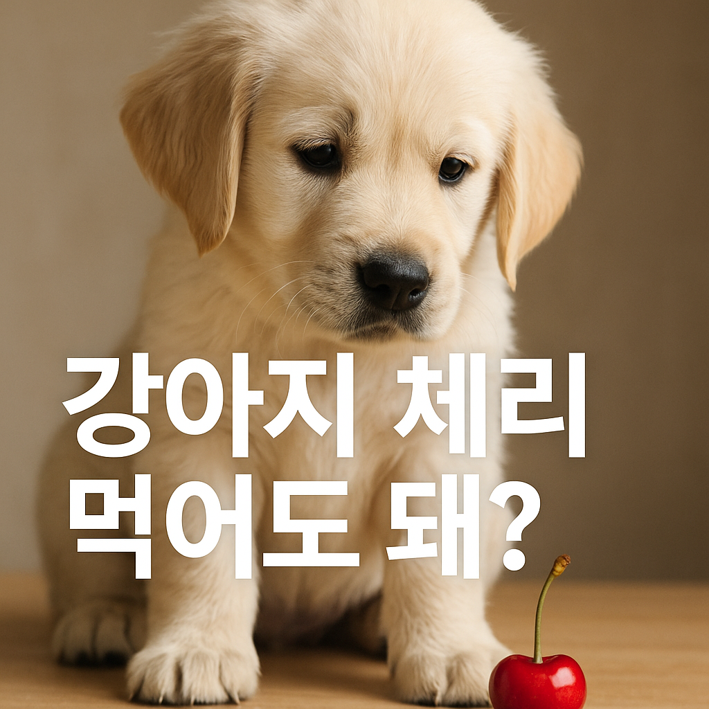 강아지 체리 먹어도 돼?, 실사형 이미지