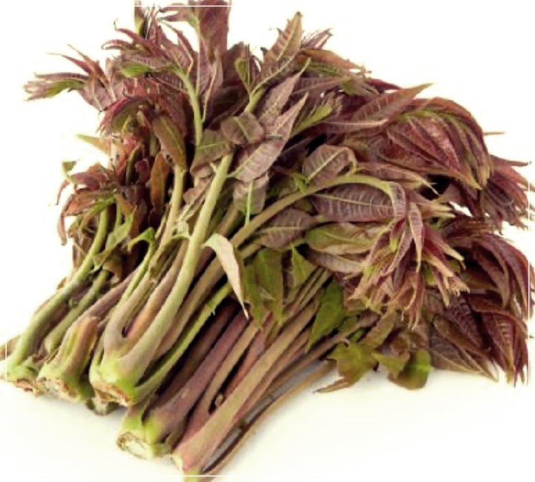 가죽나물 효능 3가지를 바로 알아보자