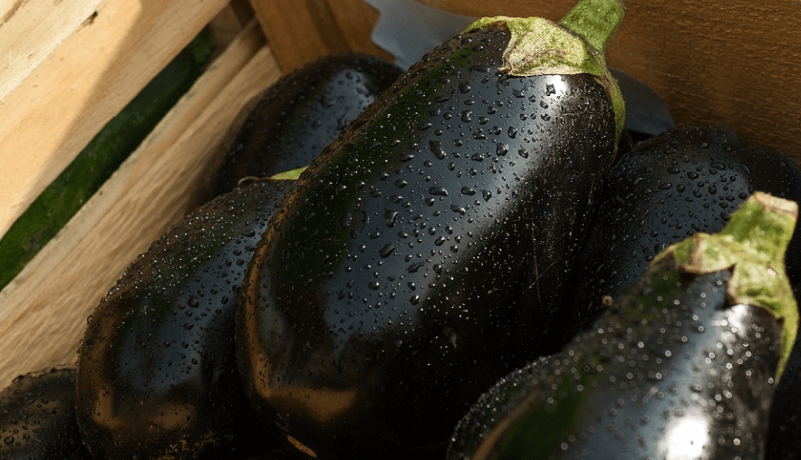 구내염에 좋은 음식 가지