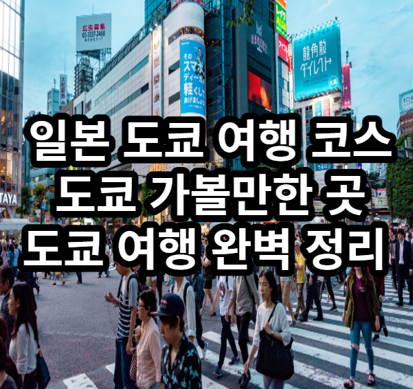 일본 도쿄여행