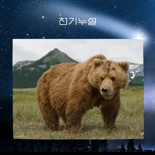 곰이 나오는 꿈 해몽
