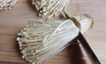 팽이버섯 효능_15