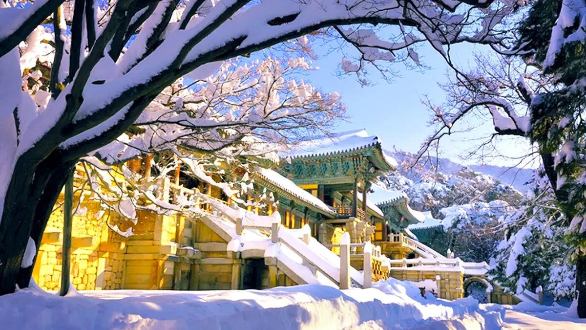 경북 겨울 명소 추천, 설경 속 역사&middot;사찰 여행지 BEST 4