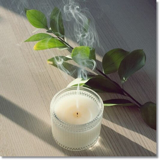 녹나무 효능 신경 안정