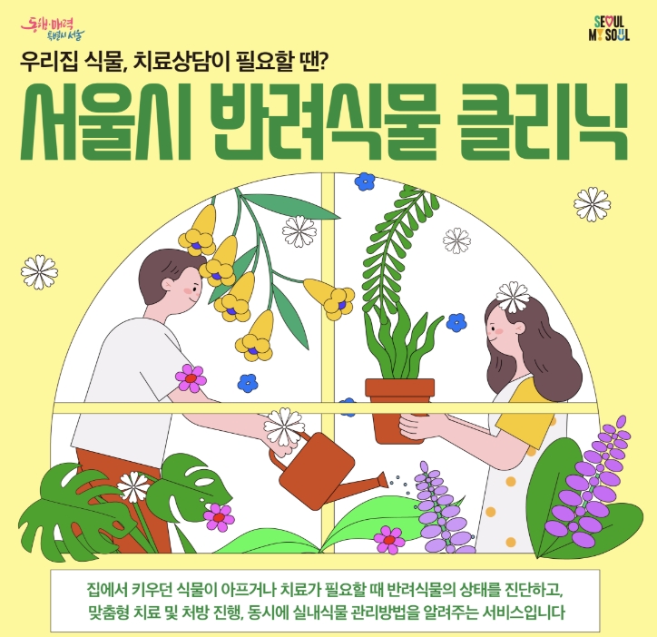 서울시 반려식물 클리닉