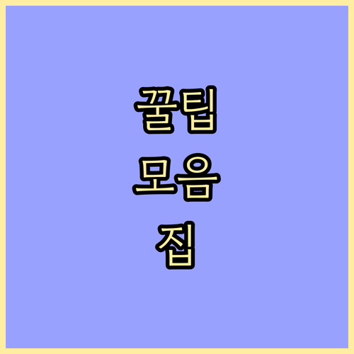 ESTA 21달러 미국 여행 전 필수..