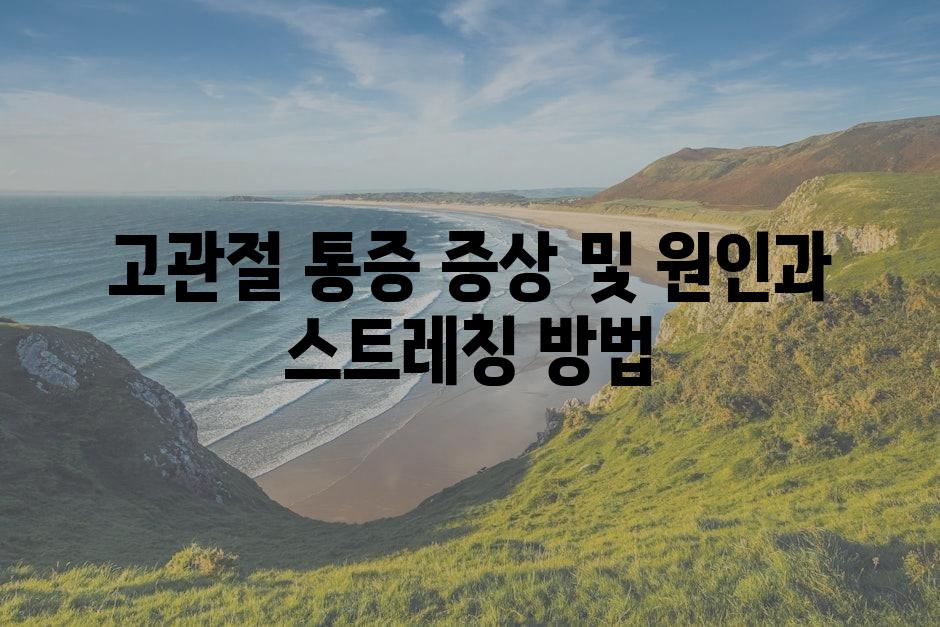 샘플 (86)