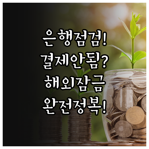 은행 점검 시간 결제 제한 및 해외 ..