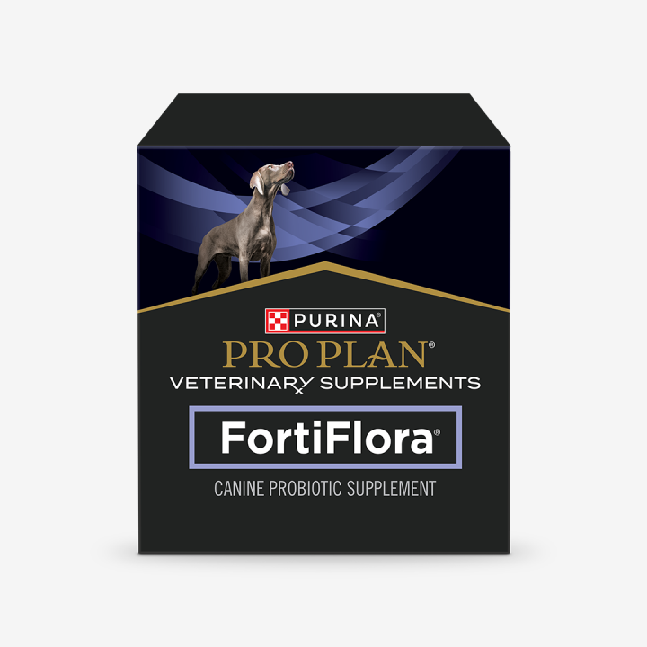 퓨리나 포티플로라