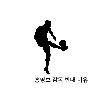 홍명보감독반대이유