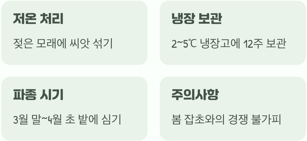 정성으로 키우는 봄 파종