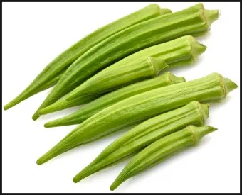 오크라 효능 재배법 손질 수확 요리 보관까지 한눈에 보기_3