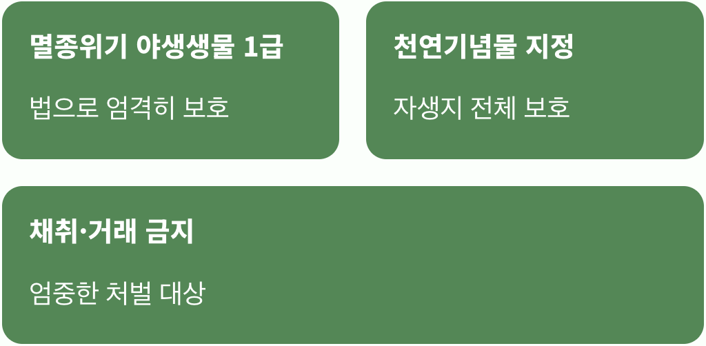 집으로 가져오는 순간, '불법'입니다