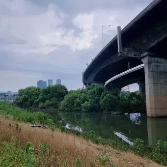 서울 강남구 러닝하기 좋은 장소 추천코스 총정리_10