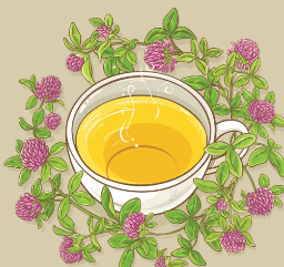 우엉차 효능 10가지 및 부작용