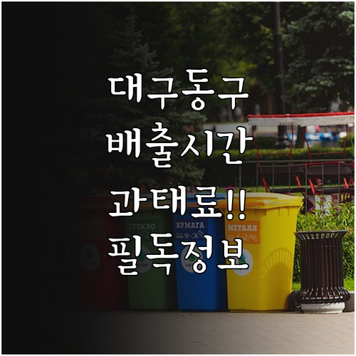 대구 동구 폐기물 배출 시간과 무단 ..