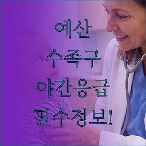 예산 수족구 진료 소아과 현황 및 야..