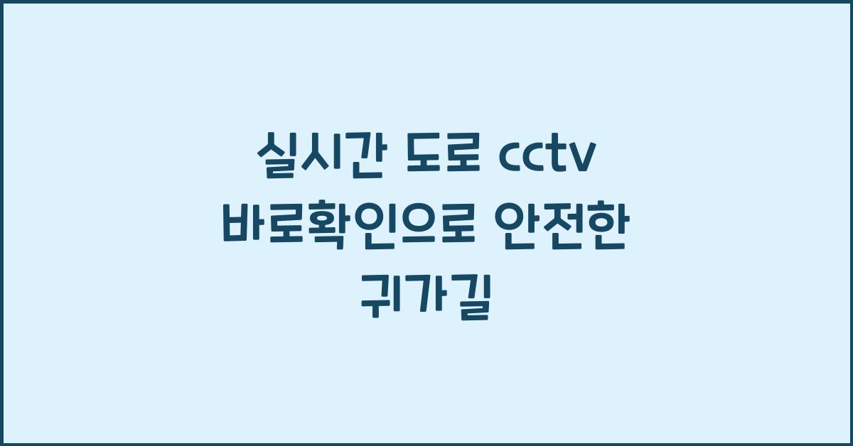 실시간 도로 cctv 바로확인