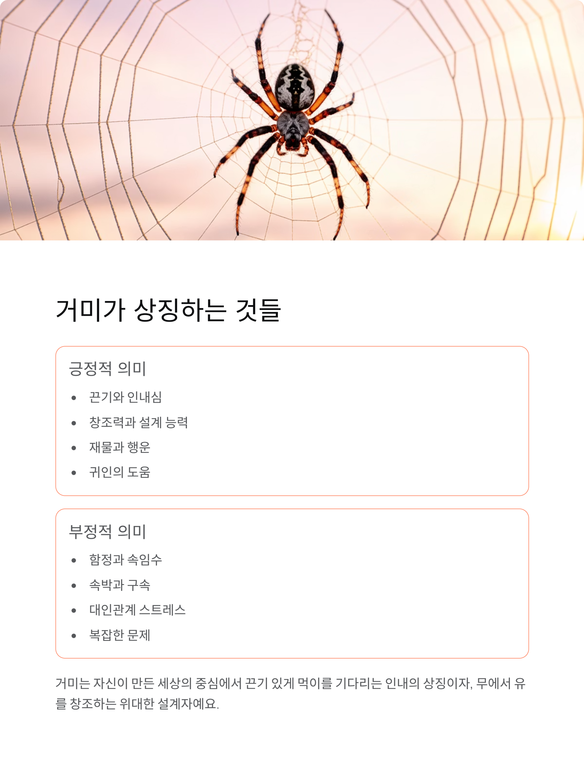 거미꿈 해몽 완벽 가이드