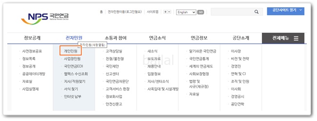 국민연금 예상수령액