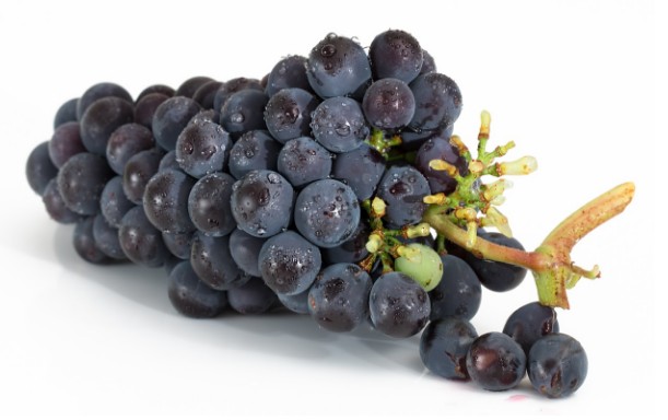 포도의 효능, 칼로리, 포도고르는법, 포도보관법