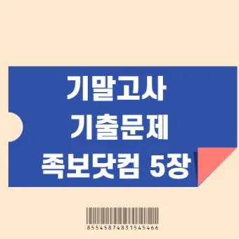 중2 도덕 요점정리와 시험 대비를 위한 필수 학습 자료 안내_21