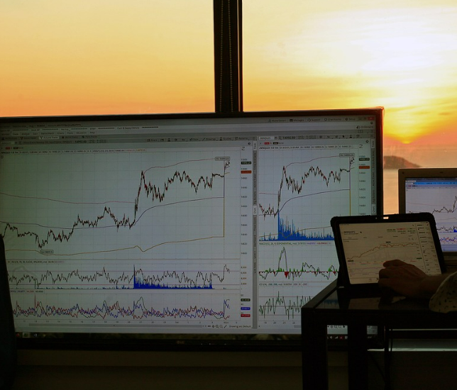 주식시장과 실물경제 관계- 금융과 현실을 잇는 복잡한 고리