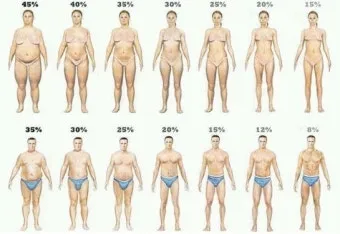 40대 여자 체지방률 평균 20~25% 계산 방법 측정법 다이어트_4