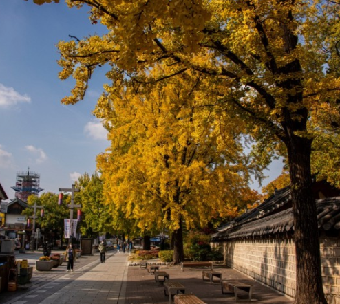 가을-여행하기-좋은-곳-추천