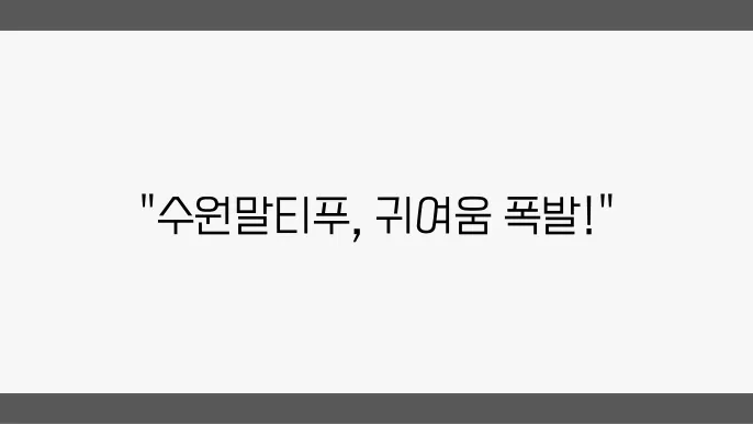 수원말티푸분양 알아봅니다