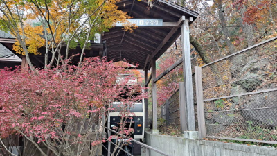 단풍명소_화담숲_자연생태관