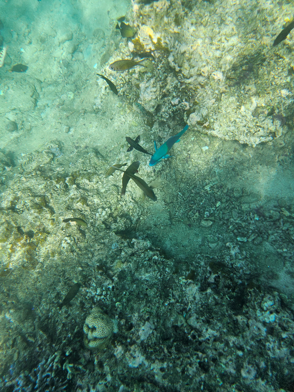 #발리공항픽업 #발리여행