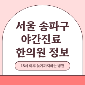 서울 송파구 야간진료 한의원 병원 (18시 이후 늦게까지하는 병원)