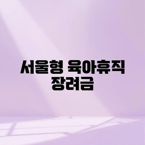 서울형 육아휴직 장려금
