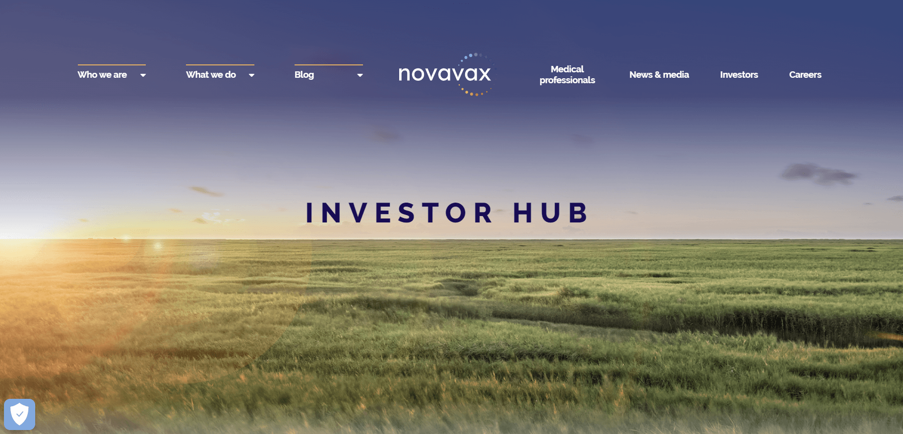 노바백스(Novavax, NVAX)