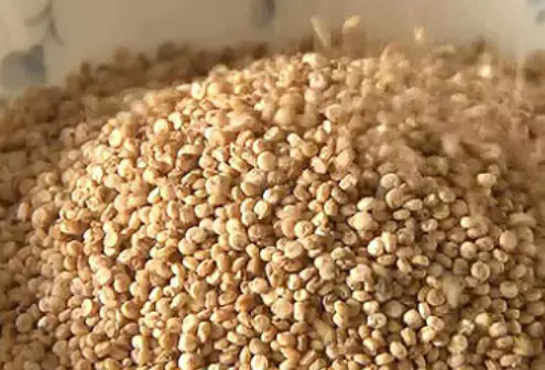 당뇨에-좋은-음식-건강