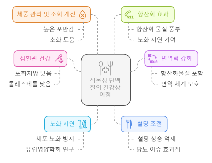 식물성 단백질의 건강상 이점