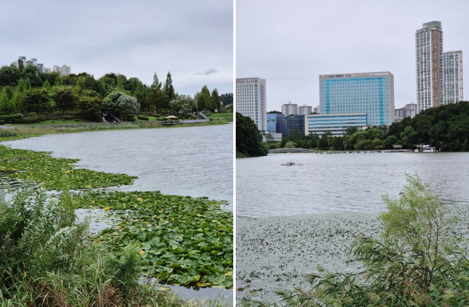 광교호수공원 사진