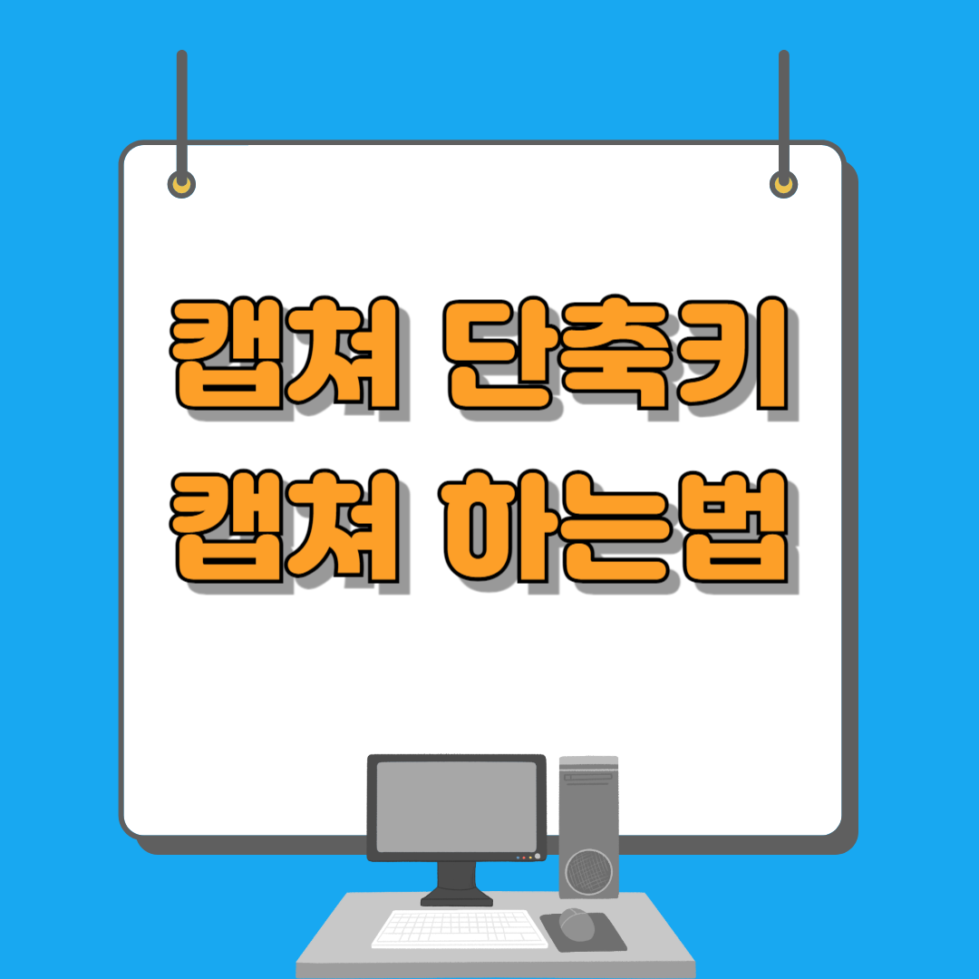 캡쳐단축키