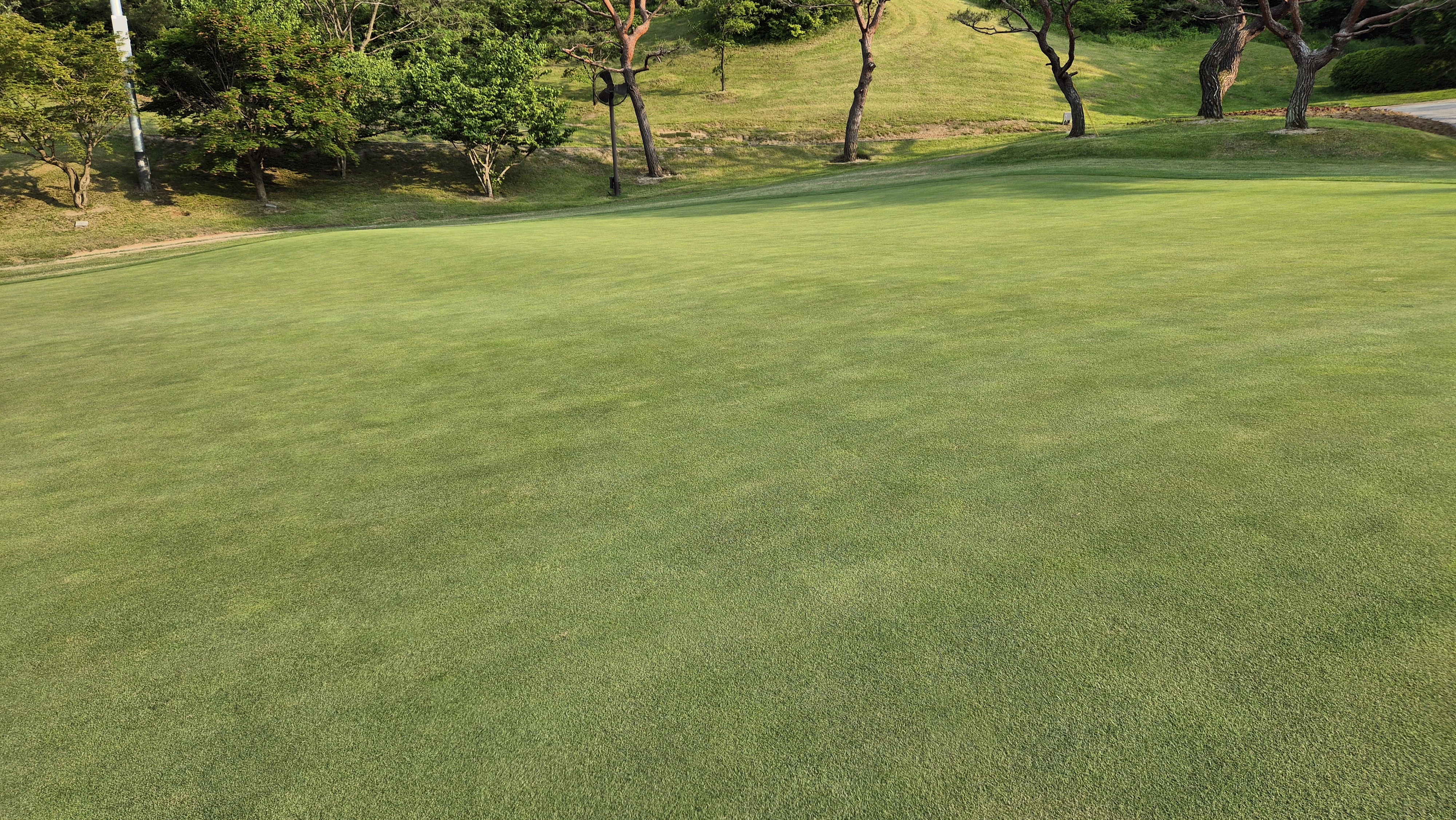 이포cc 라운드 후기