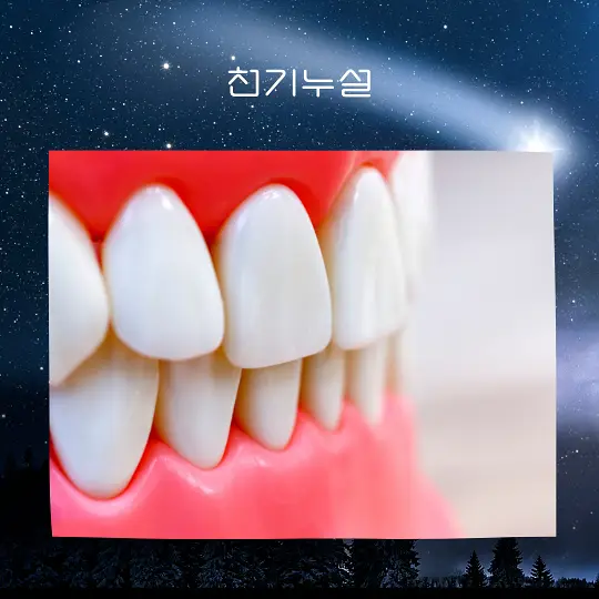 이빨빠지는꿈해몽