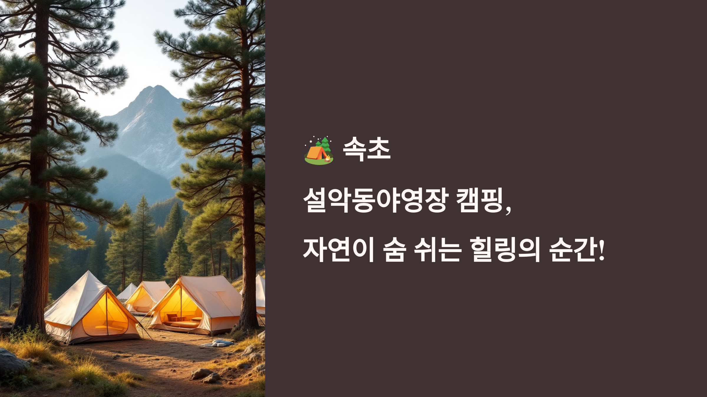 🏕️ 속초 설악동야영장 캠핑, 자연이 숨 쉬는 힐링의 순간!
