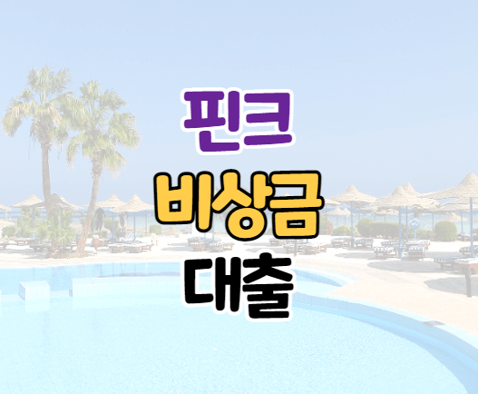 핀크-비상금대출-이미지