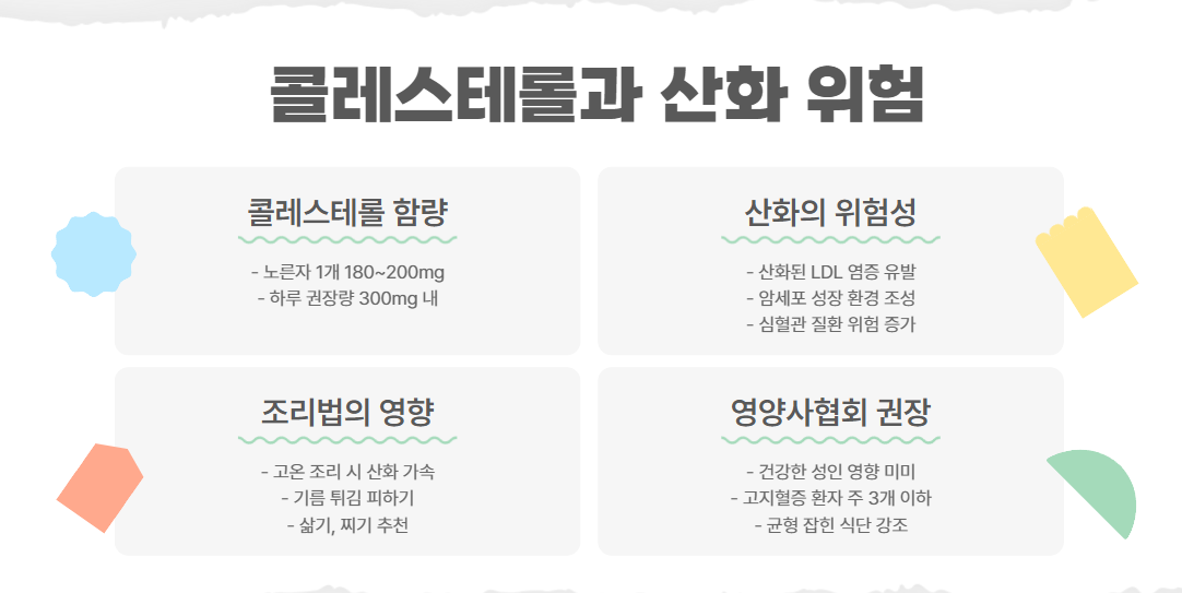콜레스테롤과 산화 위험