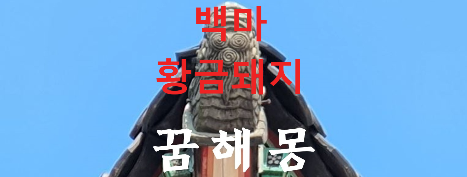 꿈해몽